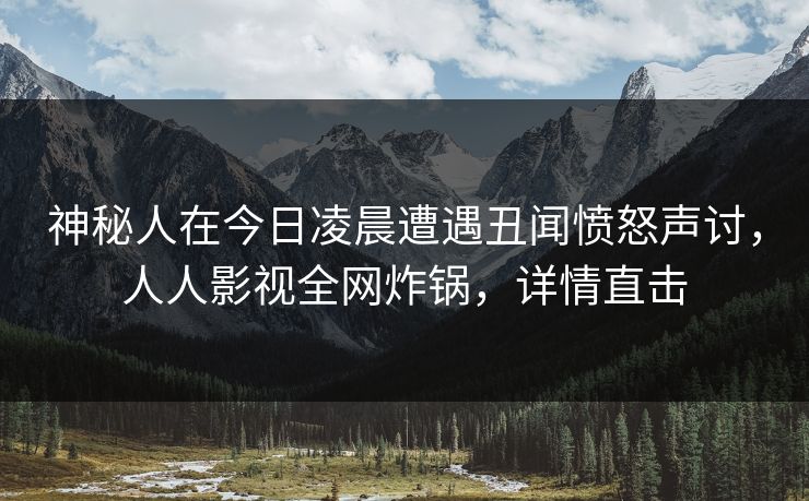 神秘人在今日凌晨遭遇丑闻愤怒声讨，人人影视全网炸锅，详情直击