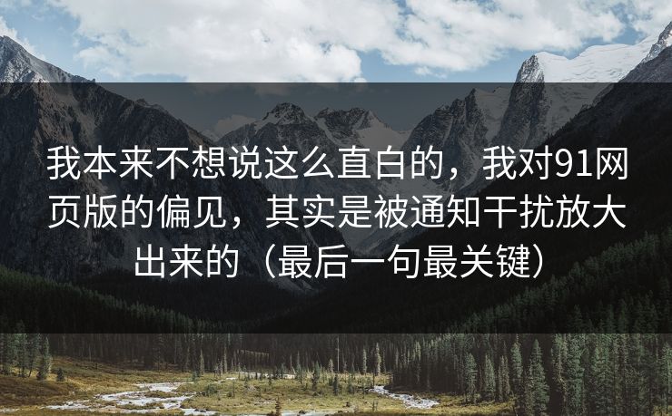 我本来不想说这么直白的，我对91网页版的偏见，其实是被通知干扰放大出来的（最后一句最关键）